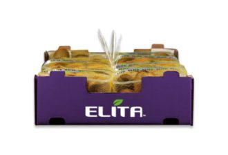 aktinidia_packaging_elita_2023_2-400x272