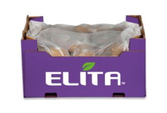 aktinidia_packaging_elita_2023_5-400x272